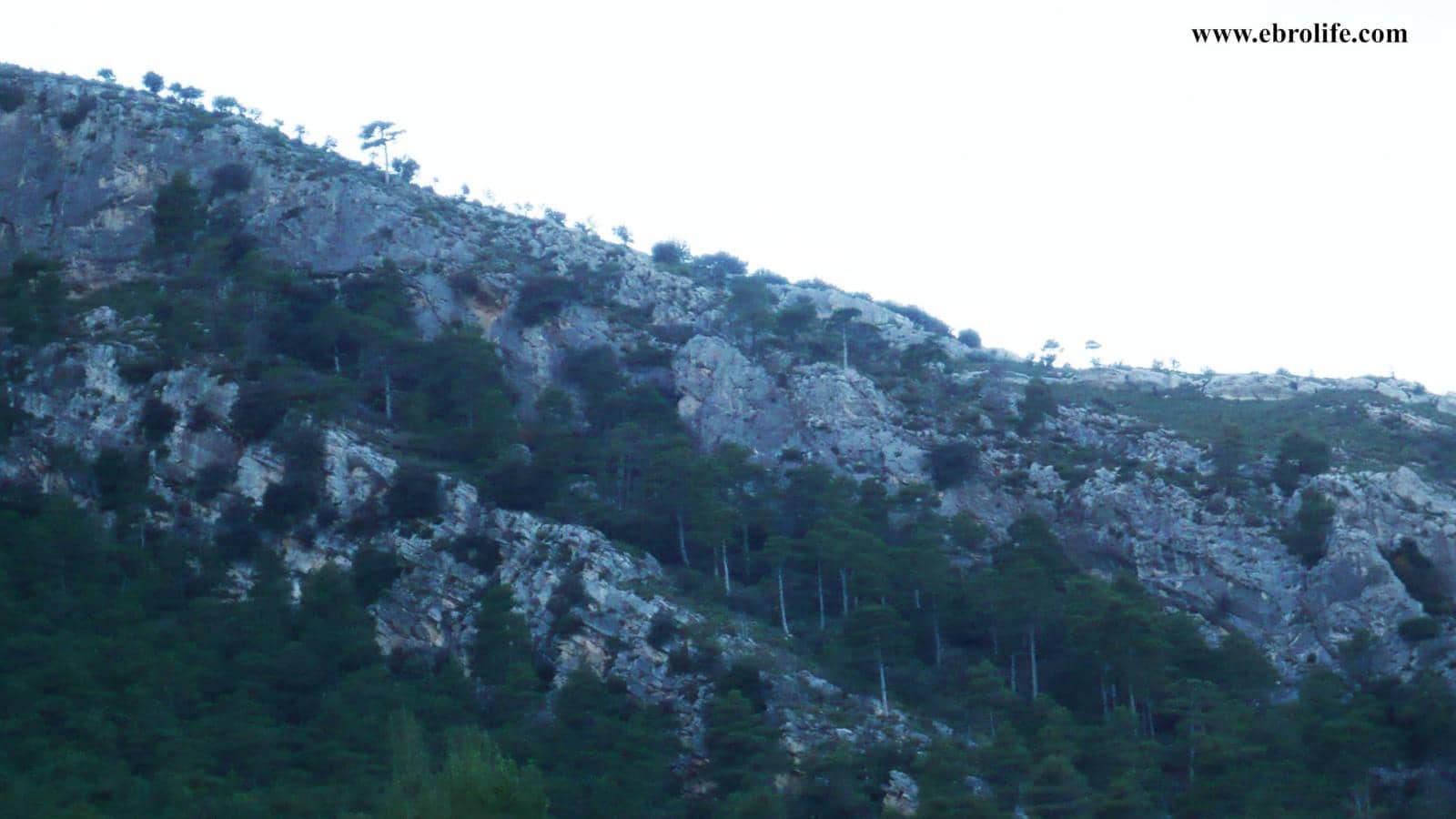 Finca/Landhuis te koop in Valderrobres - € 75.000 (Ref: 5742843)