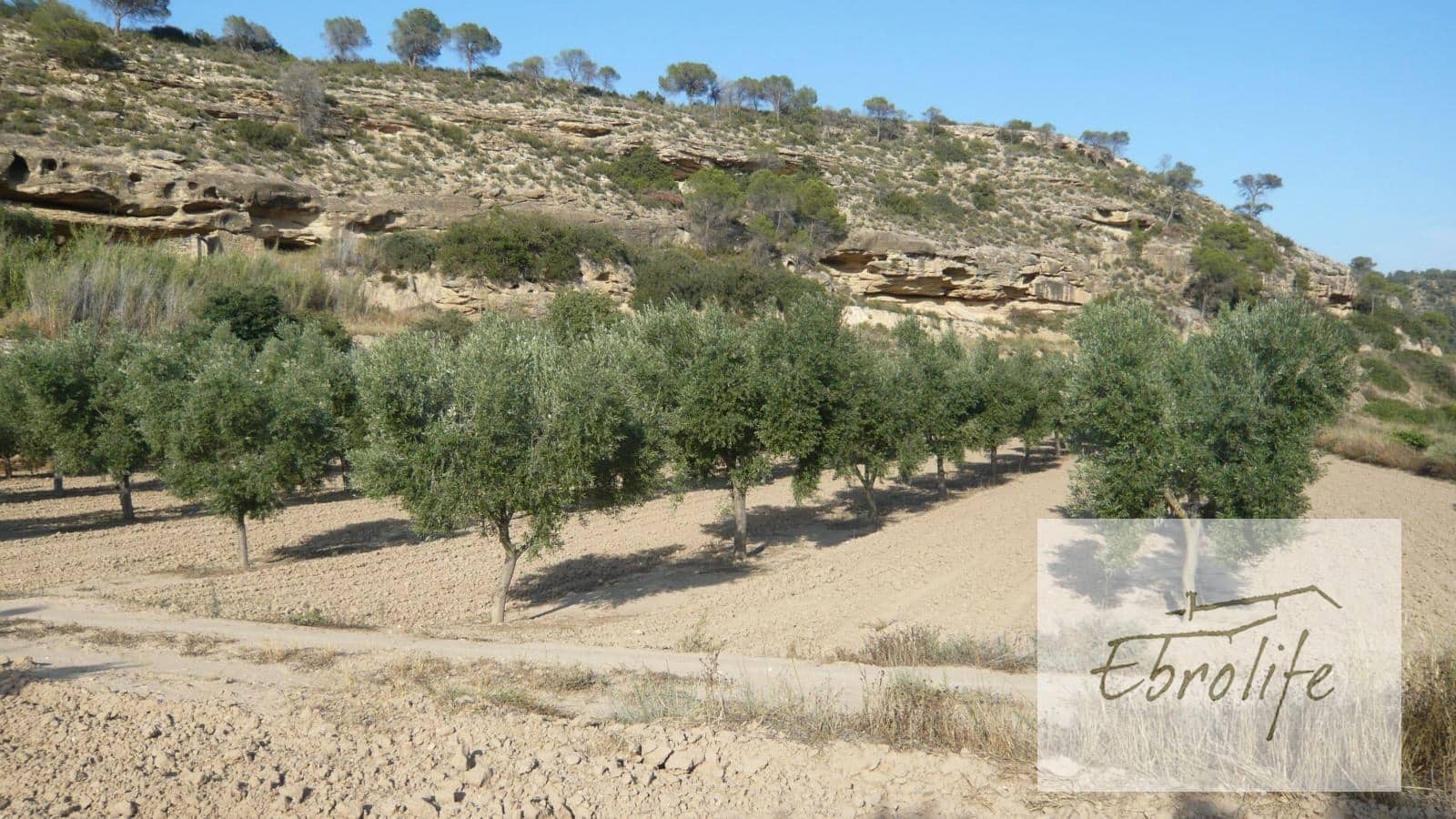 Finca/Landehus til salg i Batea - € 245.000 (Ref: 5742844)