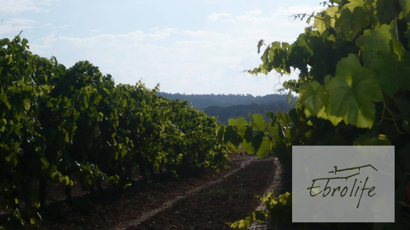 Finca/Landehus til salg i Batea - € 245.000 (Ref: 5742844)