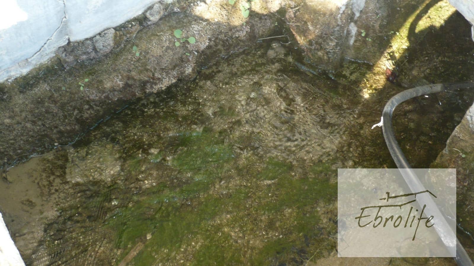 Finca/Landehus til salg i Batea - € 245.000 (Ref: 5742844)