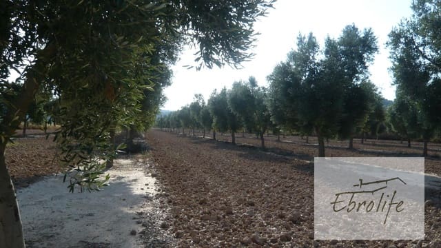 Finca/Landehus til salg i Batea - € 245.000 (Ref: 5742844)