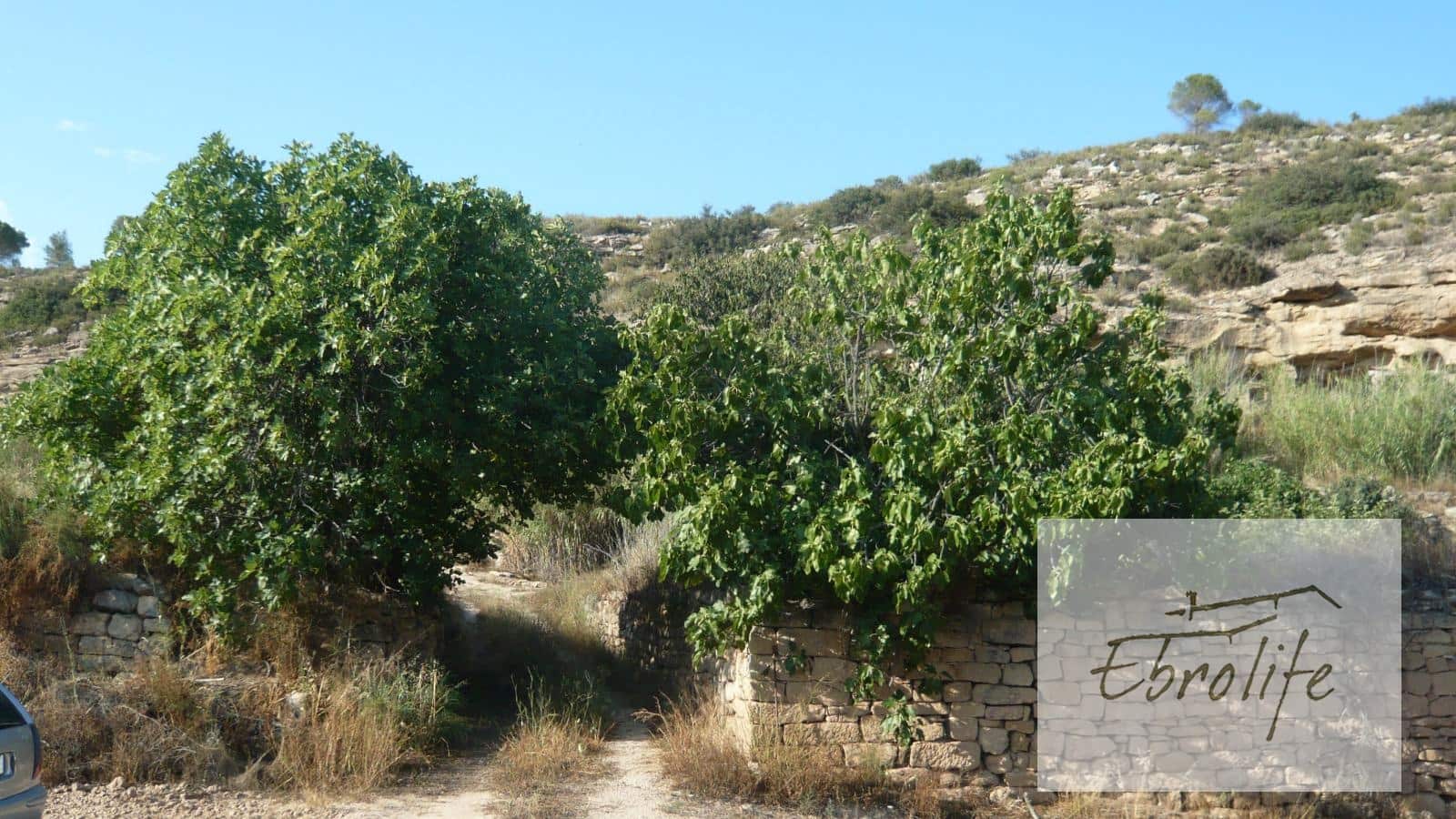 Finca/Landehus til salg i Batea - € 245.000 (Ref: 5742844)