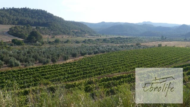 Finca/Landehus til salg i Batea - € 245.000 (Ref: 5742844)