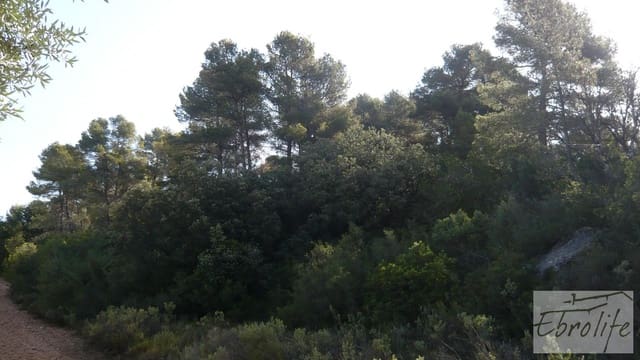 Finca/Landgut zu verkaufen in Arens de Lledó - 15.000 € (Ref: 5742867)