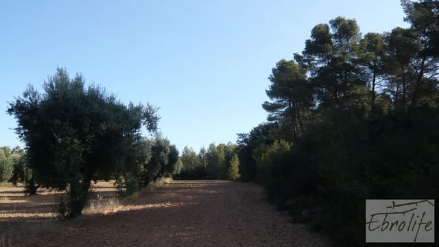 Finca/Landgut zu verkaufen in Arens de Lledó - 15.000 € (Ref: 5742867)