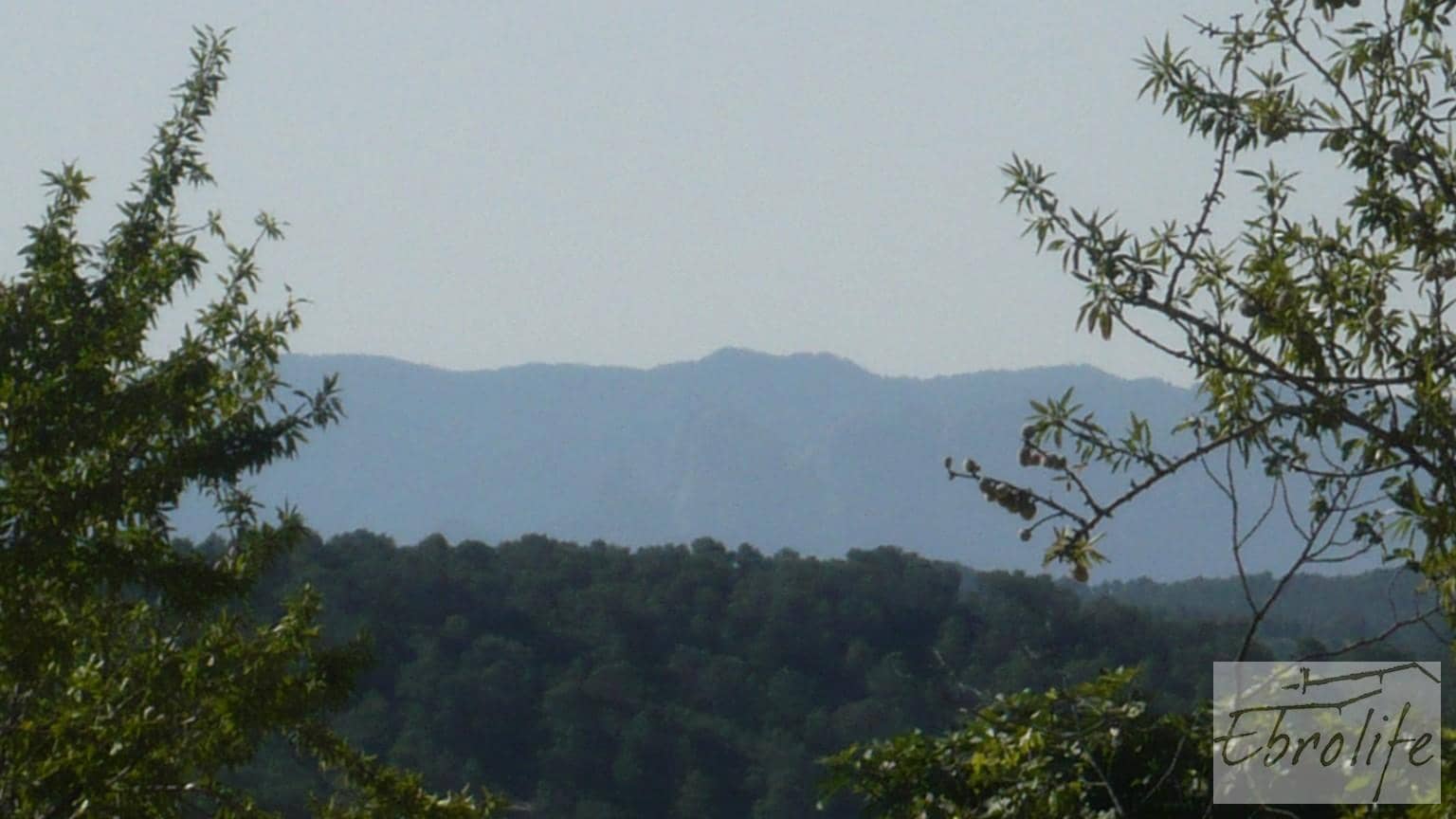 Finca/Landgut zu verkaufen in Arens de Lledo - 15.000 € (Ref: 5742867)