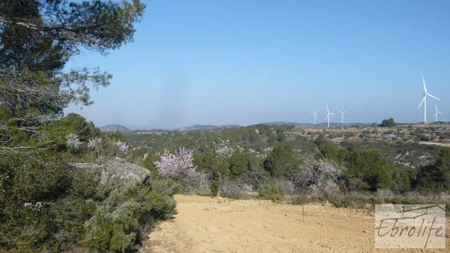 Finca/Landehus til salg i Caseres - € 17.000 (Ref: 5742870)