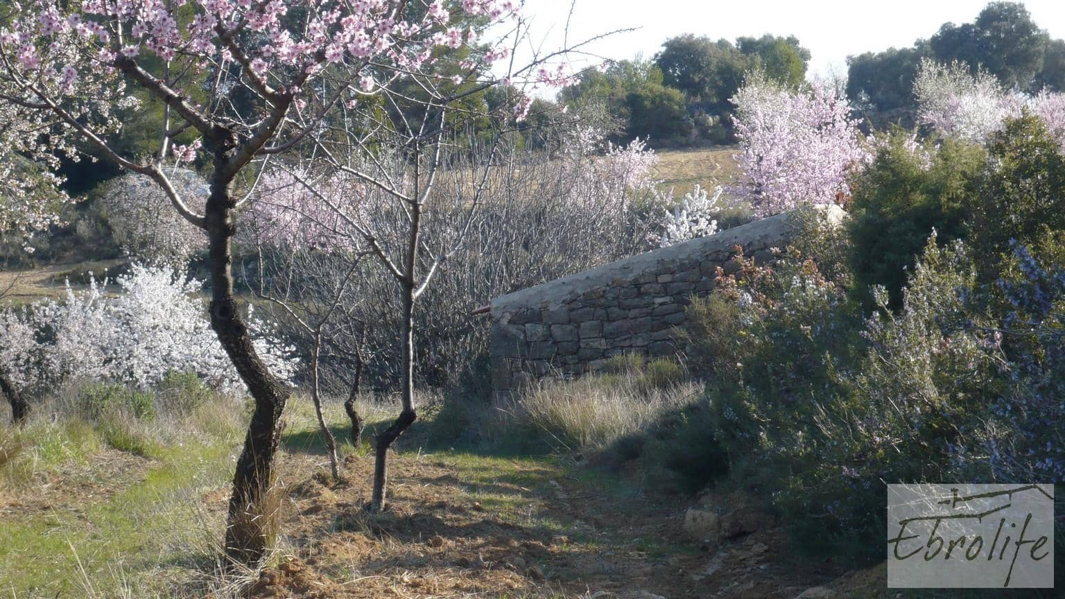 Finca/Landehus til salg i Caseres - € 17.000 (Ref: 5742870)