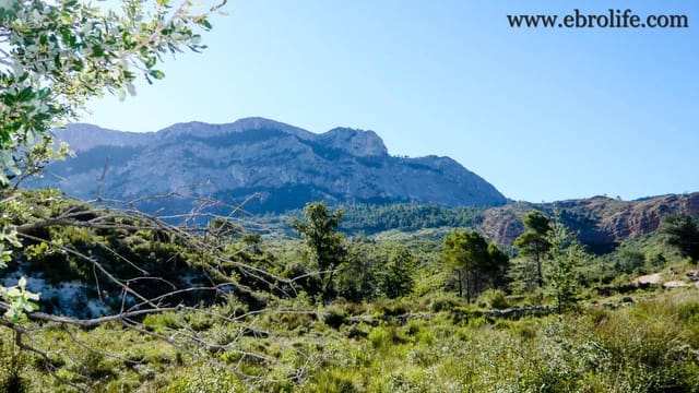 Finca/Landehus til salg i Horta de Sant Joan - € 65.000 (Ref: 5742879)