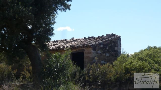 Finca/Country House for sale in Maella - € 15,000 (Ref: 5742890)