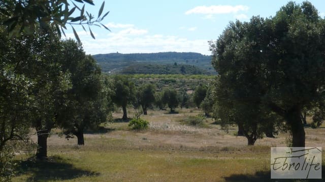 Finca/Country House for sale in Maella - € 15,000 (Ref: 5742890)