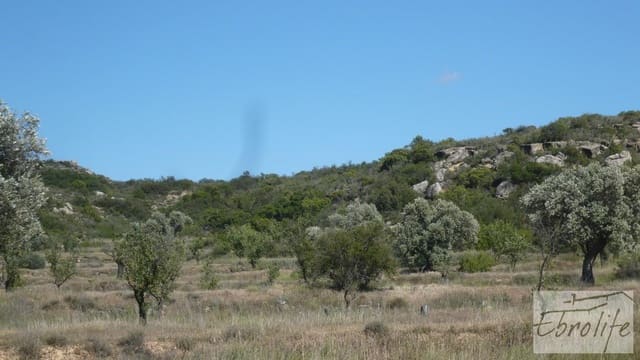 Finca/Country House for sale in Maella - € 15,000 (Ref: 5742890)