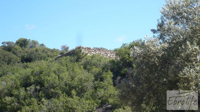 Finca/Country House for sale in Maella - € 15,000 (Ref: 5742890)