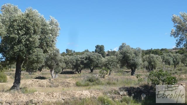 Finca/Country House for sale in Maella - € 15,000 (Ref: 5742890)