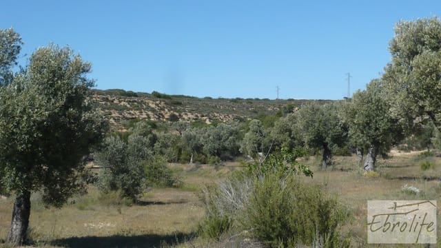 Finca/Country House for sale in Maella - € 15,000 (Ref: 5742890)