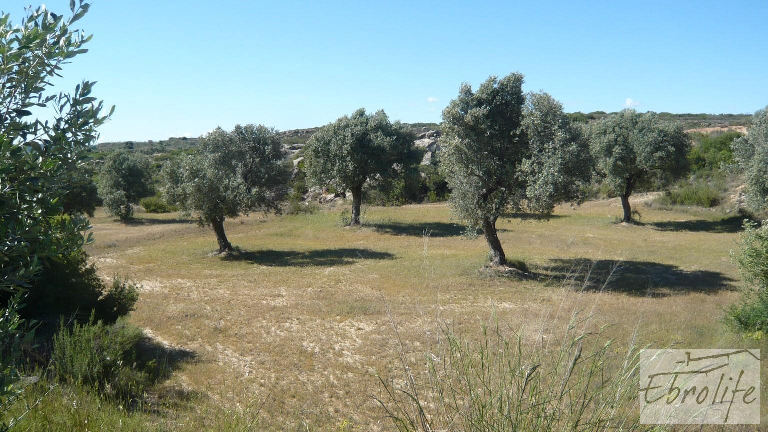 Finca/Landehus til salg i Maella - € 15.000 (Ref: 5742890)