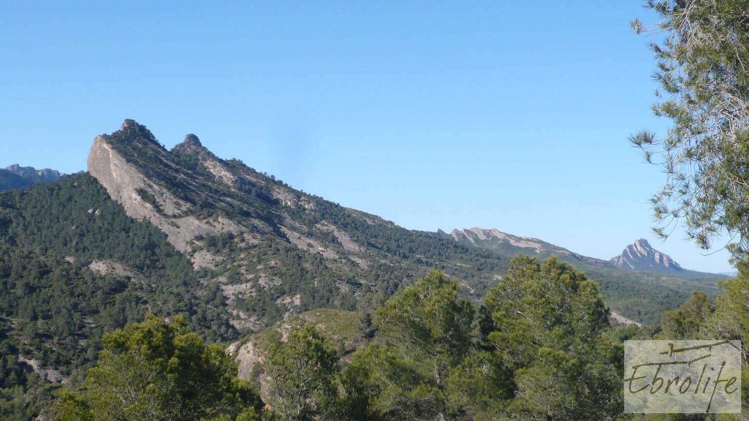 Finca/Maison de Campagne à vendre à Bot - 32 000 € (Ref: 5742891)