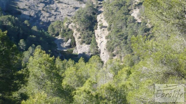 Finca/Hus på landet till salu i Bot - 32 000 € (Ref: 5742891)