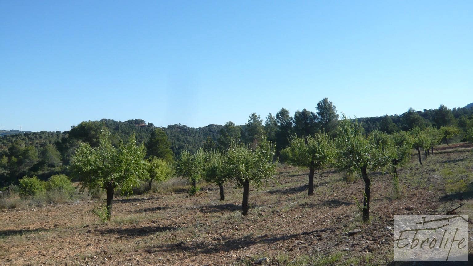 Finca/Maison de Campagne à vendre à Bot - 32 000 € (Ref: 5742891)