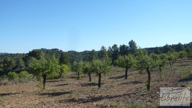 Finca/Hus på landet till salu i Bot - 32 000 € (Ref: 5742891)