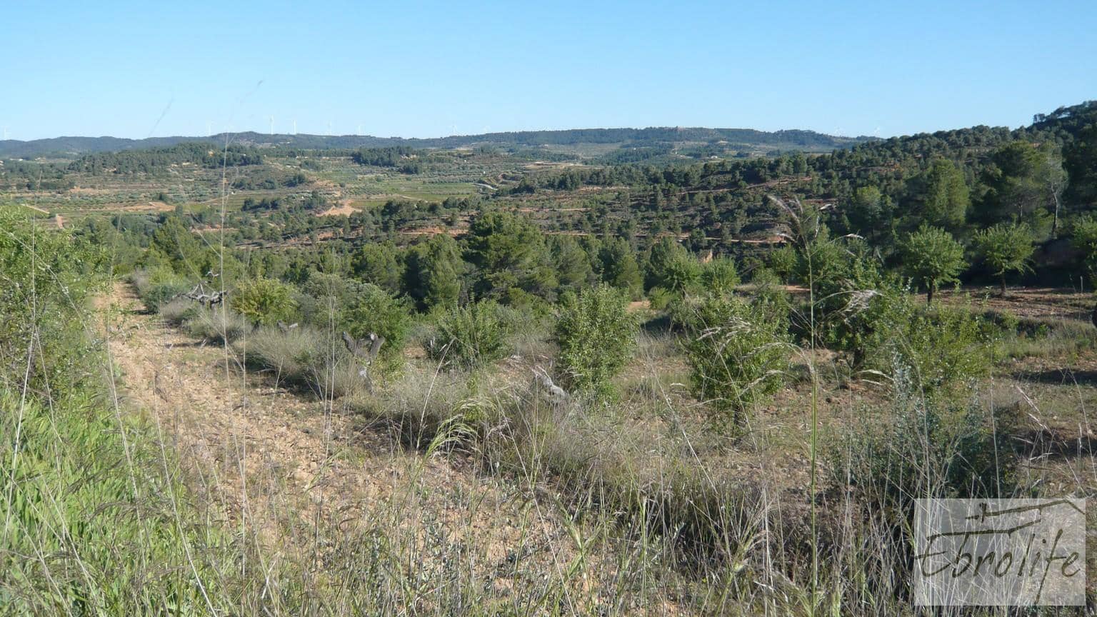 Finca/Maison de Campagne à vendre à Bot - 32 000 € (Ref: 5742891)