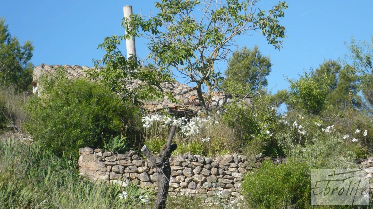 Finca/Maison de Campagne à vendre à Bot - 32 000 € (Ref: 5742891)