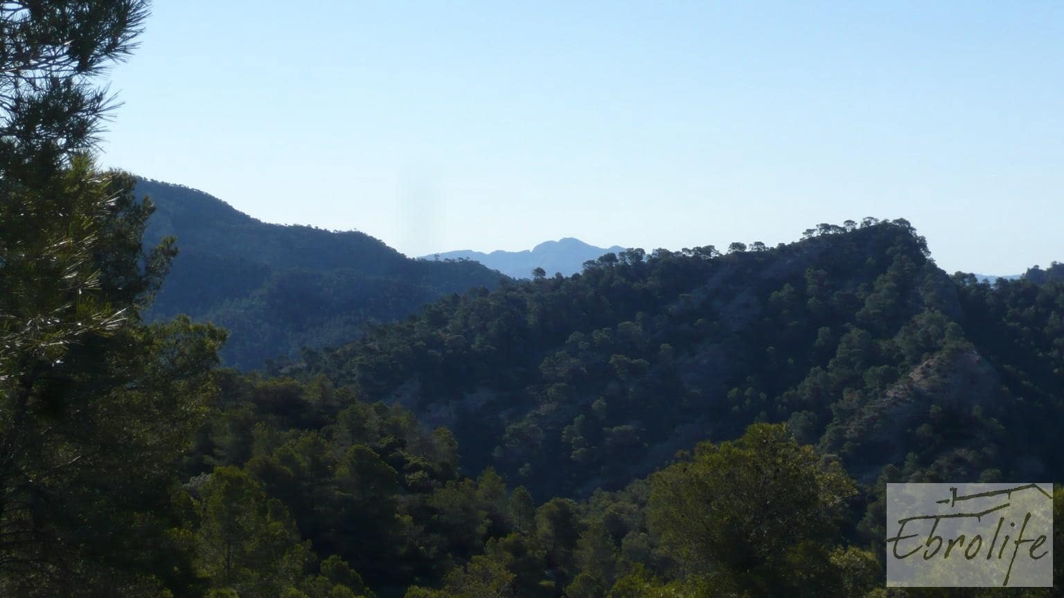 Finca/Maison de Campagne à vendre à Bot - 32 000 € (Ref: 5742891)