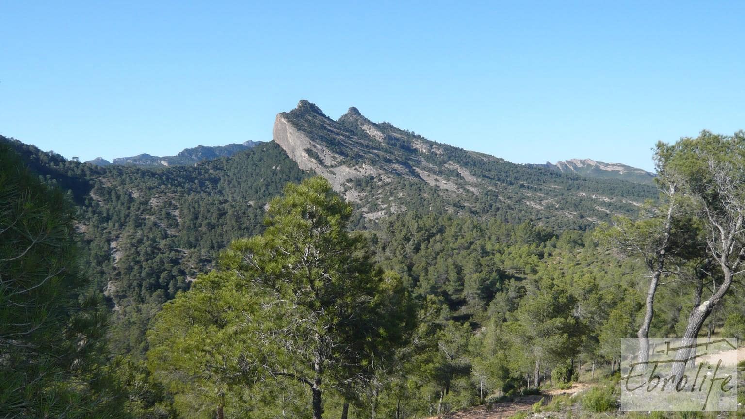 Finca/Maison de Campagne à vendre à Bot - 32 000 € (Ref: 5742891)