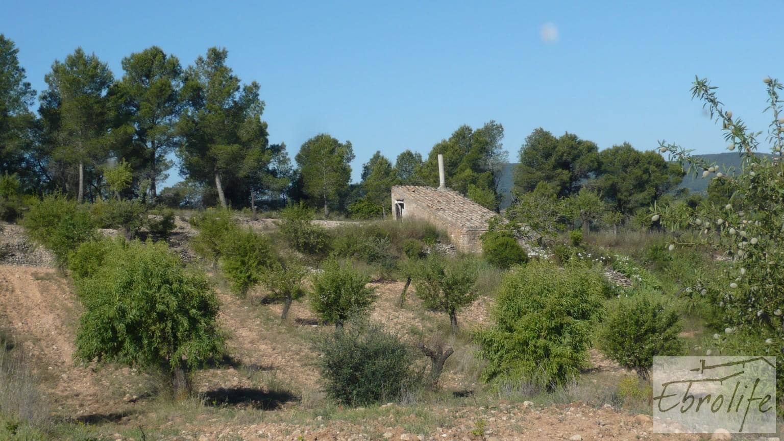 Finca/Maison de Campagne à vendre à Bot - 32 000 € (Ref: 5742891)