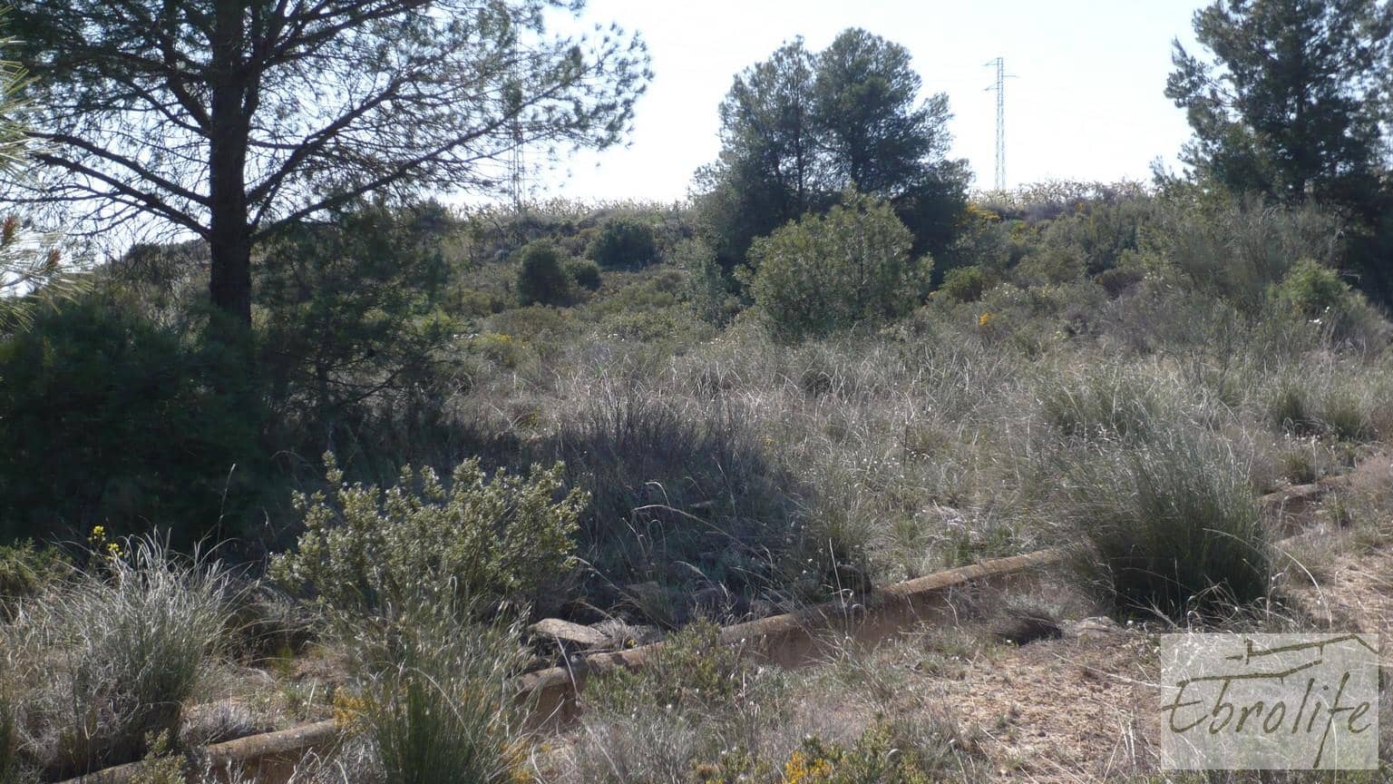 1 sovrum Finca/Hus på landet till salu i Caspe - 245 000 € (Ref: 5742893)