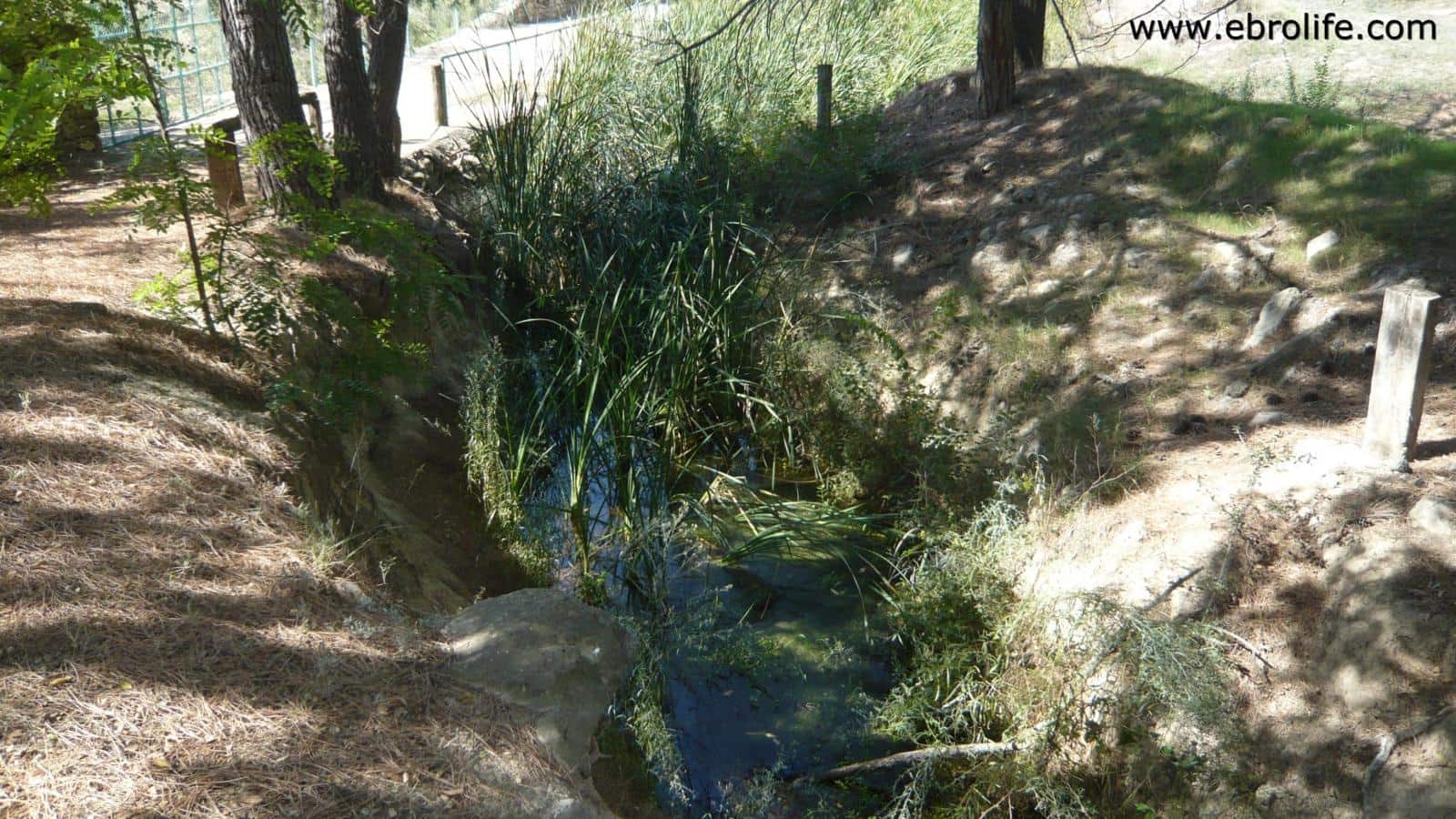 Finca/Landehus til salg i Calaceite - € 65.000 (Ref: 5742902)