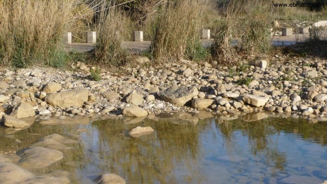 Finca/Landehus til salg i Nonaspe - € 39.000 (Ref: 5742907)