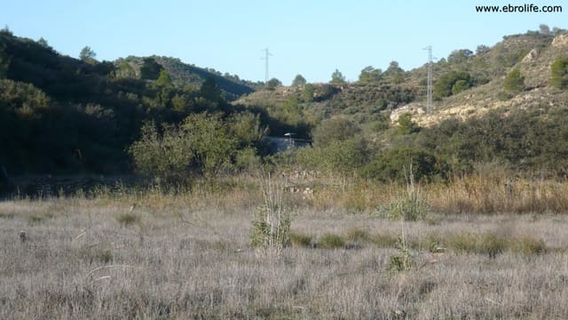 Finca/Landehus til salg i Nonaspe - € 39.000 (Ref: 5742907)