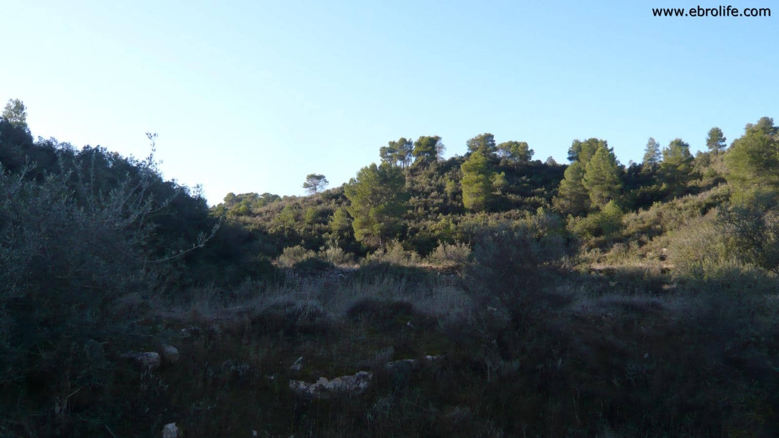 Finca/Landhuis te koop in Nonaspe - € 39.000 (Ref: 5742907)