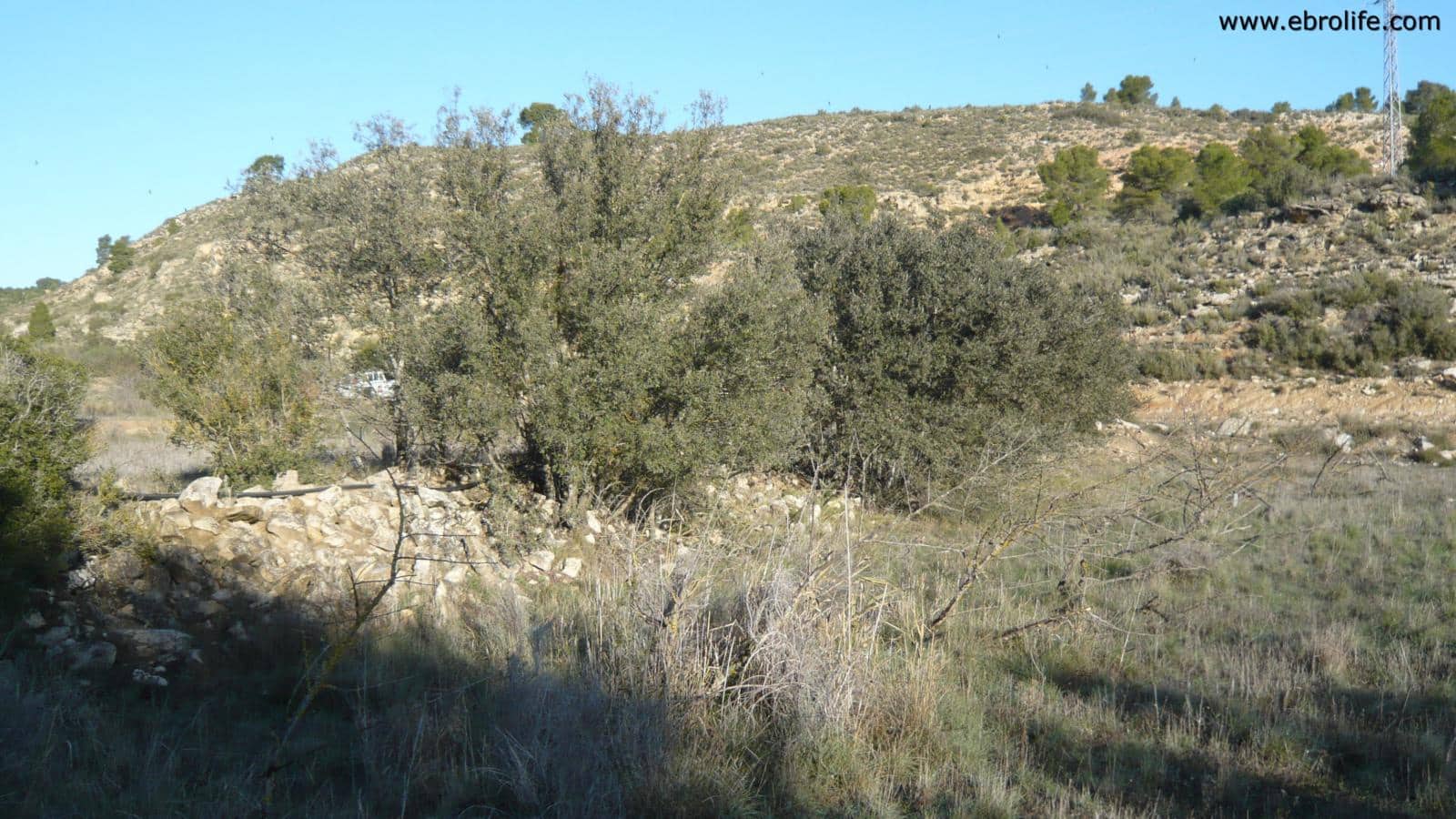 Finca/Landhuis te koop in Nonaspe - € 39.000 (Ref: 5742907)