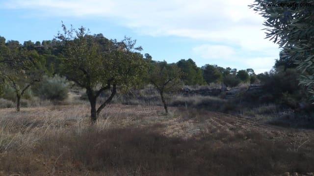 1 bedroom Finca/Country House for sale in Maella - € 48,000 (Ref: 5742908)