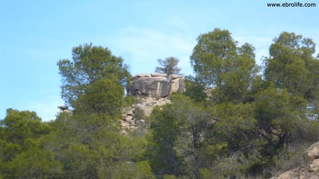 1 bedroom Finca/Country House for sale in Maella - € 48,000 (Ref: 5742908)