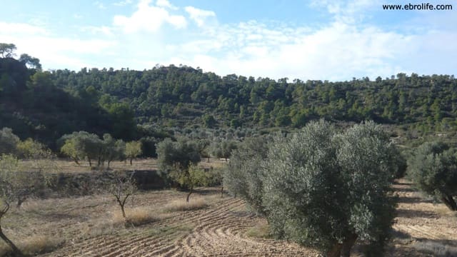 1 bedroom Finca/Country House for sale in Maella - € 48,000 (Ref: 5742908)