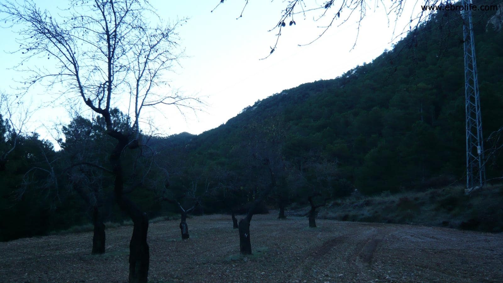 Finca/Landhuis te koop in Fuentespalda - € 98.000 (Ref: 5742920)