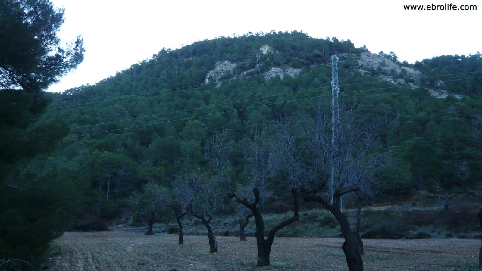 Finca/Landhuis te koop in Fuentespalda - € 98.000 (Ref: 5742920)