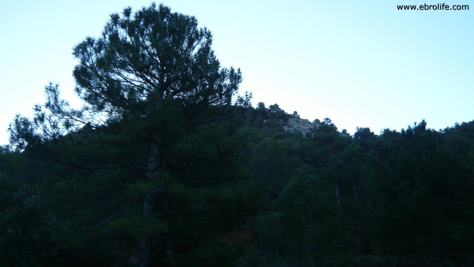 Finca/Landhuis te koop in Fuentespalda - € 98.000 (Ref: 5742920)