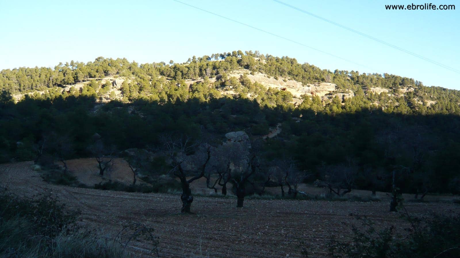 Finca/Landhuis te koop in Fuentespalda - € 98.000 (Ref: 5742920)