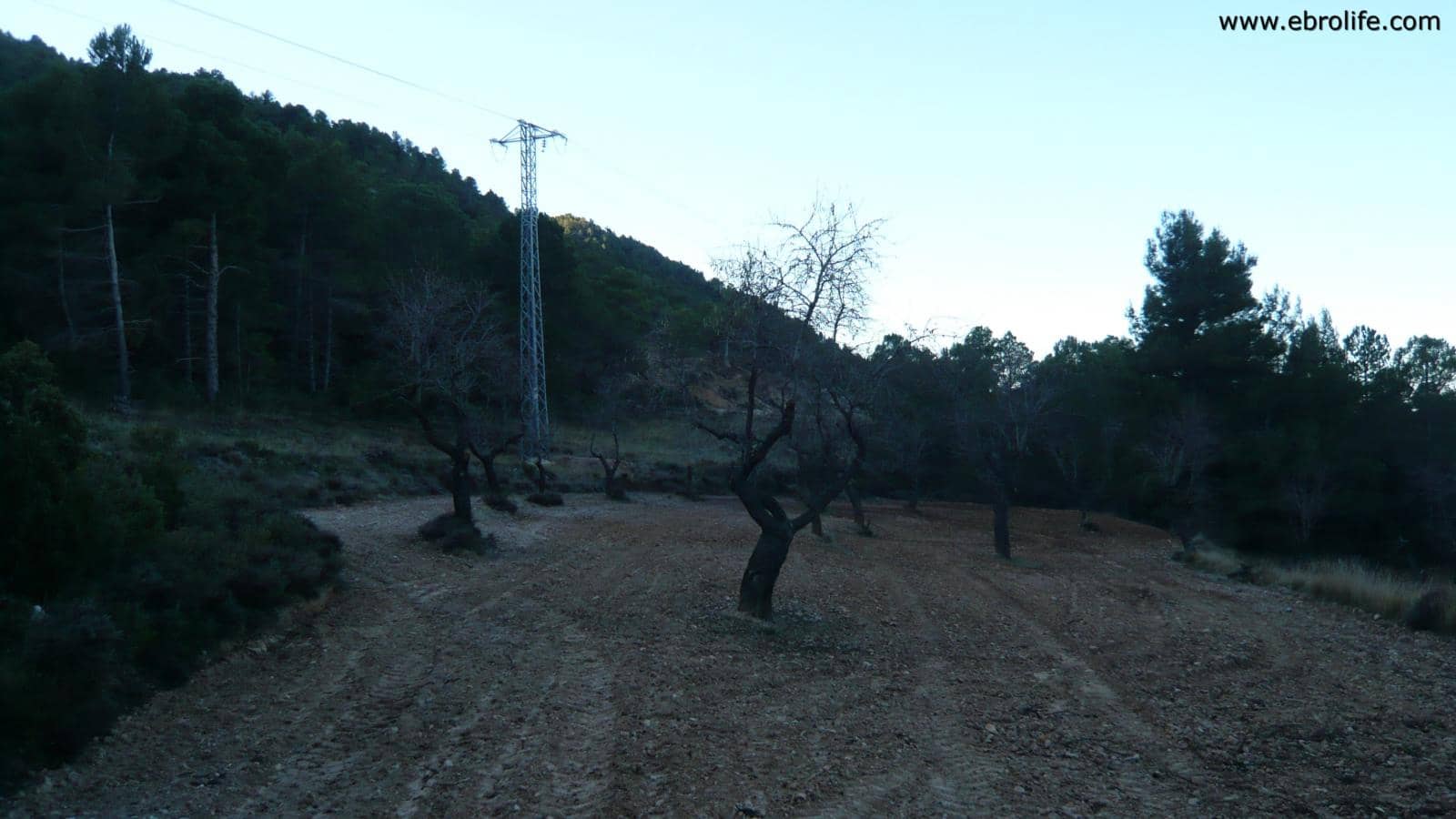 Finca/Landhuis te koop in Fuentespalda - € 98.000 (Ref: 5742920)