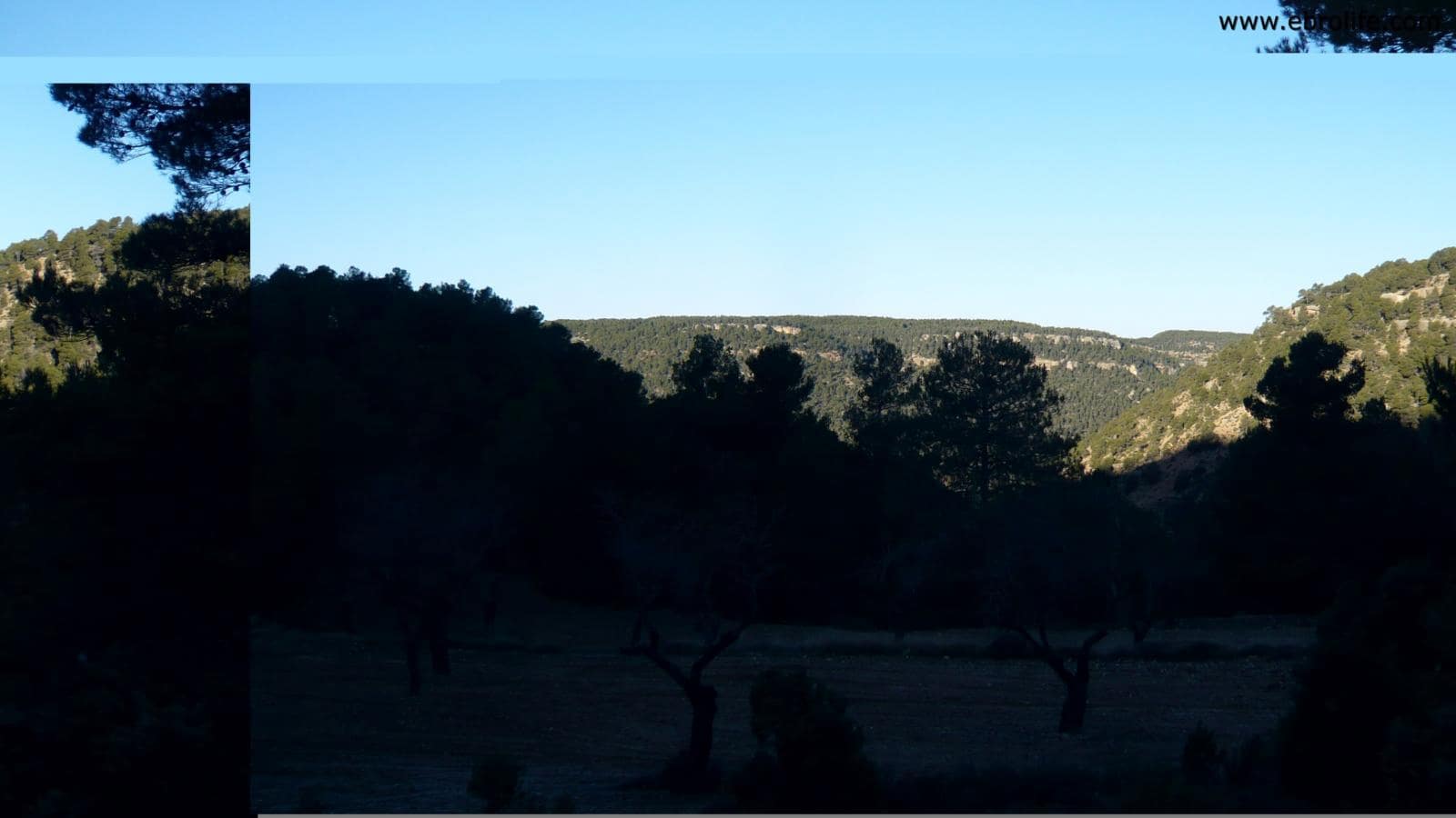 Finca/Landhuis te koop in Fuentespalda - € 98.000 (Ref: 5742920)