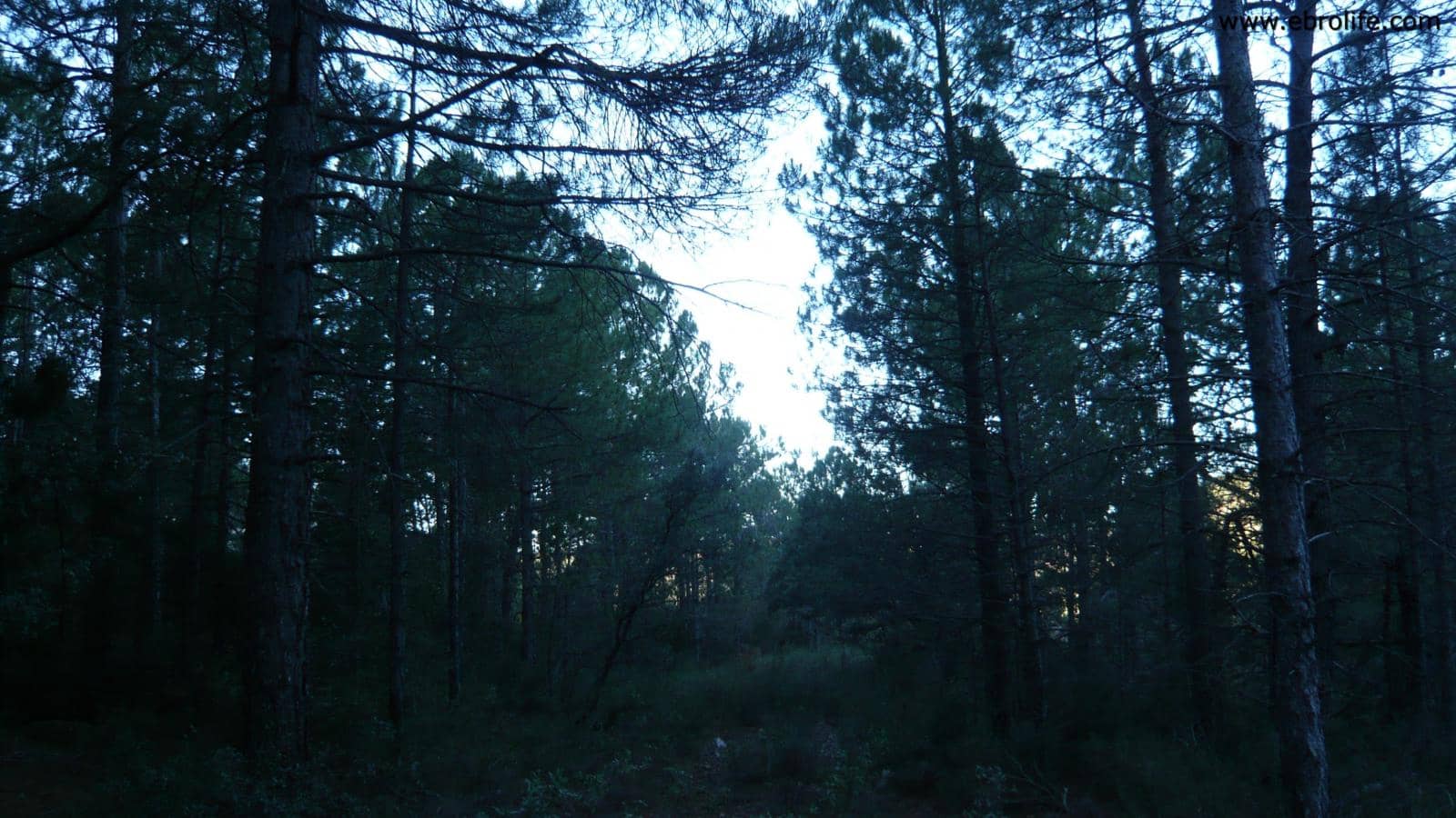 Finca/Landhuis te koop in Fuentespalda - € 98.000 (Ref: 5742920)