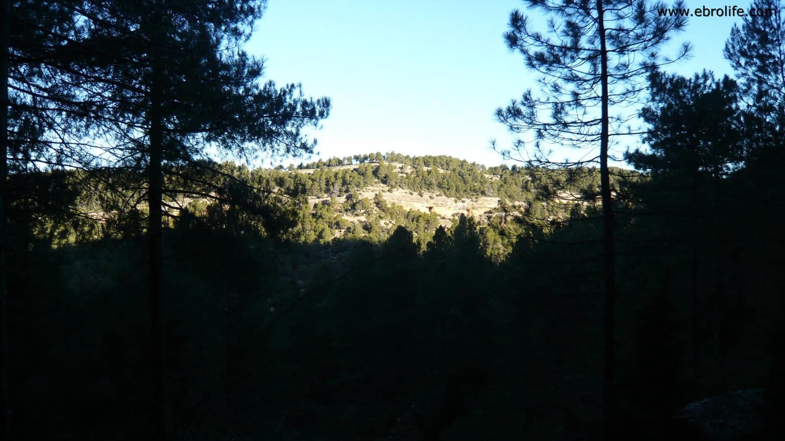 Finca/Landhuis te koop in Fuentespalda - € 98.000 (Ref: 5742920)