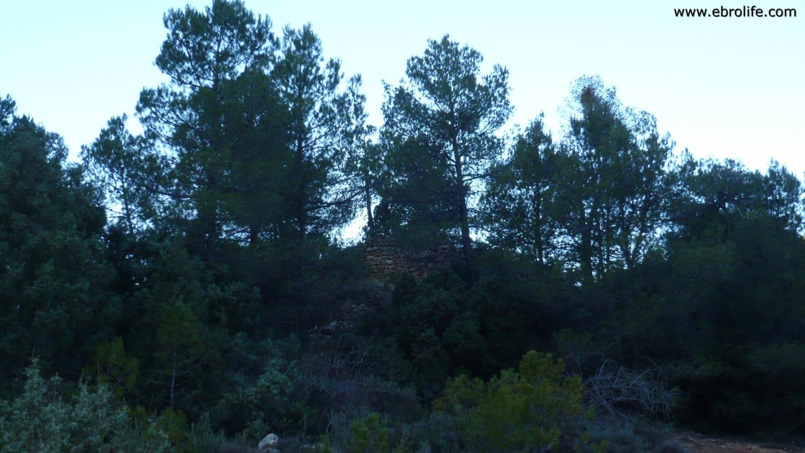 Finca/Landhuis te koop in Fuentespalda - € 98.000 (Ref: 5742920)