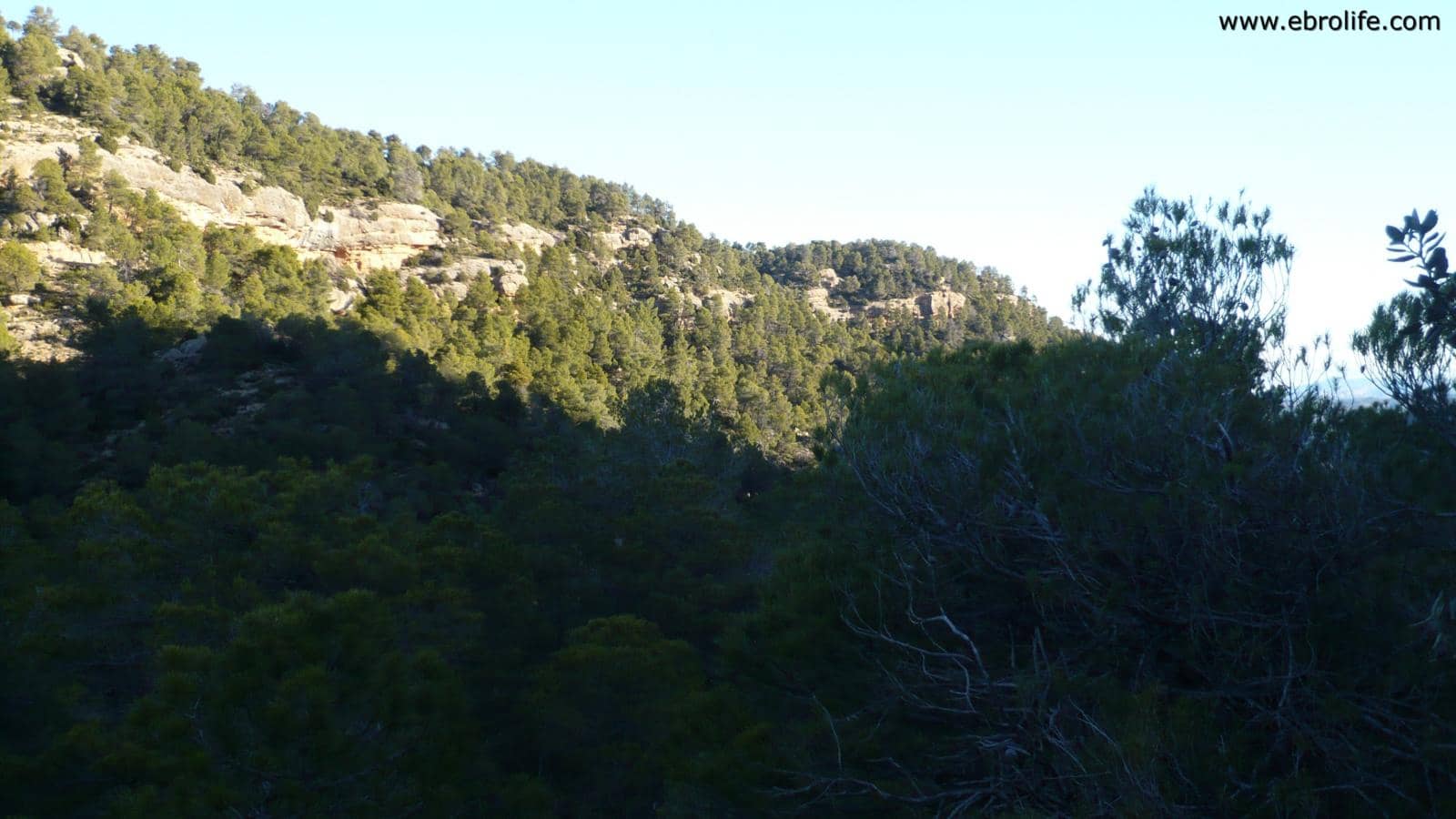 Finca/Landhuis te koop in Fuentespalda - € 98.000 (Ref: 5742920)