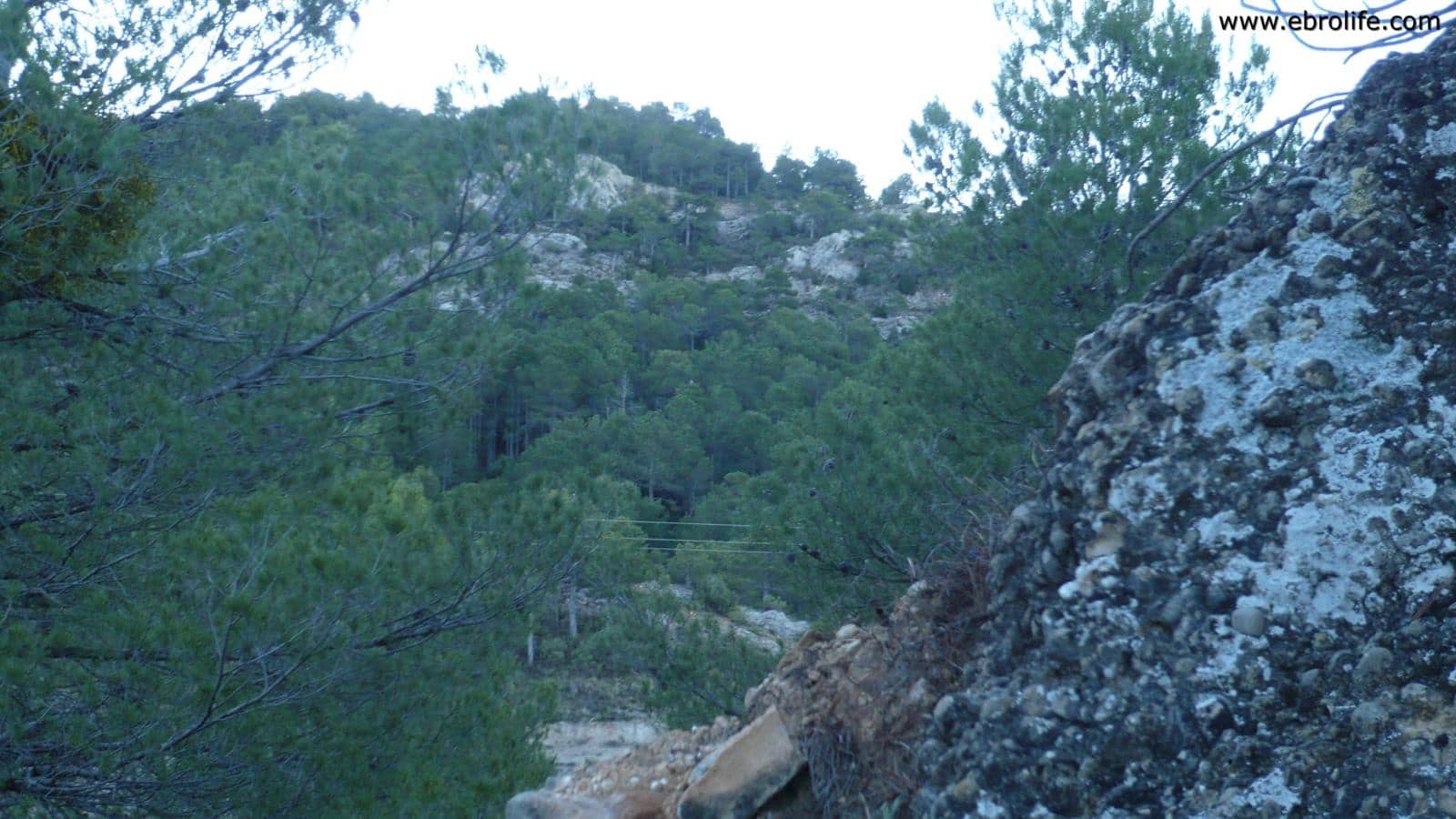 Finca/Landhuis te koop in Fuentespalda - € 98.000 (Ref: 5742920)