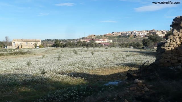 Finca/Landehus til salg i Cretas - € 26.000 (Ref: 5742922)